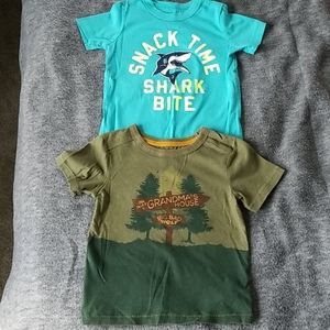 2 toddler boy shirts